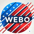 Profile picture webo-1.bsky.social