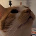 Profile picture ricky.baby