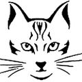 Profile picture realcruzancats.bsky.social