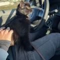 Profile picture alihannkrat.bsky.social