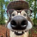 Profile picture mic3233.bsky.social