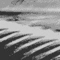 Profile picture otterfangs.bsky.social