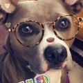 Profile picture jannishope.bsky.social