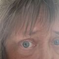 Profile picture kelofchgo.bsky.social