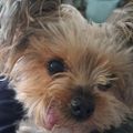 Profile picture lulu9624.bsky.social