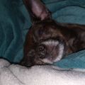 Profile picture beainmaine.bsky.social