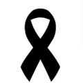 Profile picture yaelbarzeev.bsky.social