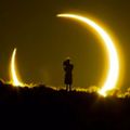Profile picture wonderofscience.bsky.social