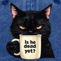 Profile picture radicalsenior52.bsky.social