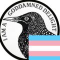 Profile picture gwen-corvid.bsky.social