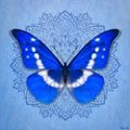 Profile picture morpho--helena.bsky.social