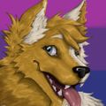 Profile picture gebraheel.bsky.social