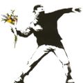 Profile picture bluestateblues.bsky.social