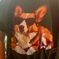 Profile picture corgislave.bsky.social