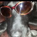 Profile picture aileenann.bsky.social