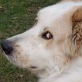 Profile picture newyawker2024.bsky.social