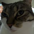 Profile picture lola1985.bsky.social