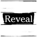 Profile picture revealnews.org