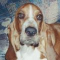 Profile picture tammyjo408.bsky.social