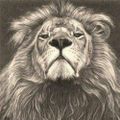 Profile picture nickhrn.bsky.social
