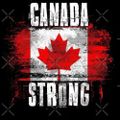 Profile picture teamcanadaforever.bsky.social