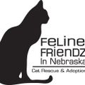 Profile picture felinefriendz.bsky.social