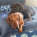 Profile picture nika72.bsky.social