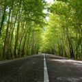 Profile picture open-road.bsky.social