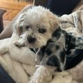 Profile picture amybwb.bsky.social