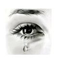 Profile picture rebellionretiree.bsky.social