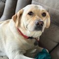 Profile picture zeus238.bsky.social