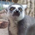 Profile picture bergsbites.bsky.social