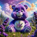 Profile picture nativepapa.bsky.social