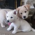 Profile picture amymh.bsky.social