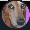 Profile picture chompie97.bsky.social