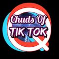 Profile picture chudsoftiktok.bsky.social