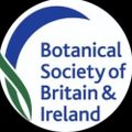 Profile picture bsbicymru.bsky.social