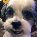 Profile picture b-dub68.bsky.social