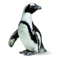Profile picture calacademy.bsky.social