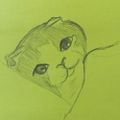 Profile picture girlsuffer.bsky.social