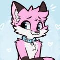 Profile picture pjfoxes.bsky.social