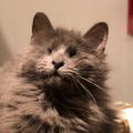 Profile picture lettystiv.bsky.social