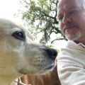 Profile picture pmskinner.bsky.social