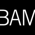 Profile picture bambrooklyn.bsky.social