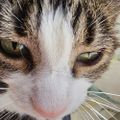 Profile picture provider-of-food.bsky.social