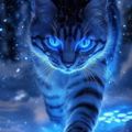 Profile picture dorotheevplessis.bsky.social
