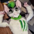 Profile picture rikoupitou.bsky.social