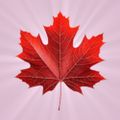 Profile picture exedout.bsky.social