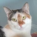 Profile picture auntyleilani.bsky.social