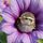 deebee54.bsky.social's avatar